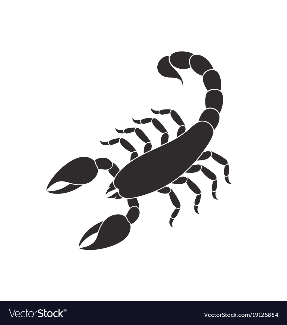 Detail Scorpion Vector Image Nomer 13