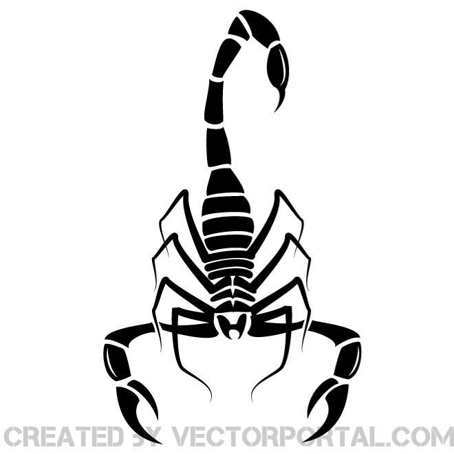 Detail Scorpion Vector Image Nomer 14