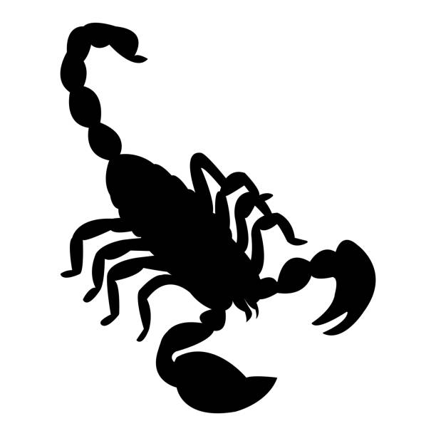 Detail Scorpion Vector Image Nomer 15