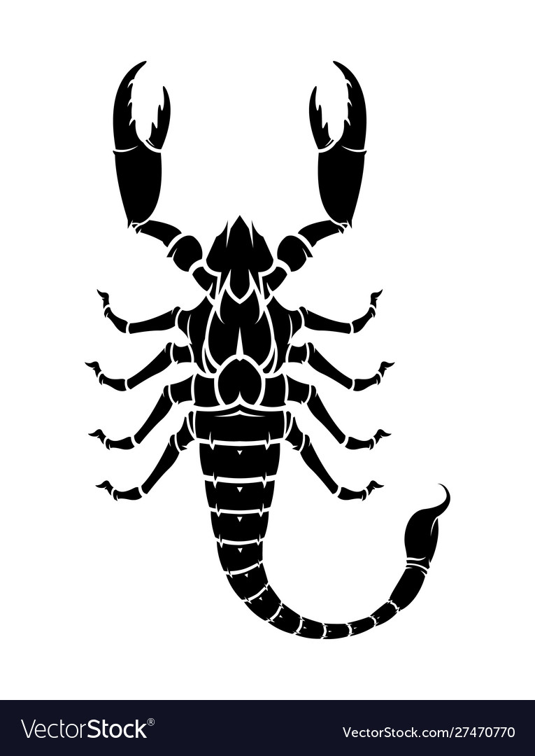 Detail Scorpion Vector Image Nomer 16