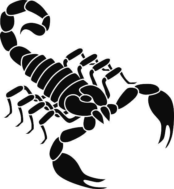 Detail Scorpion Vector Image Nomer 18