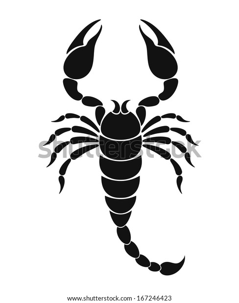 Detail Scorpion Vector Image Nomer 20