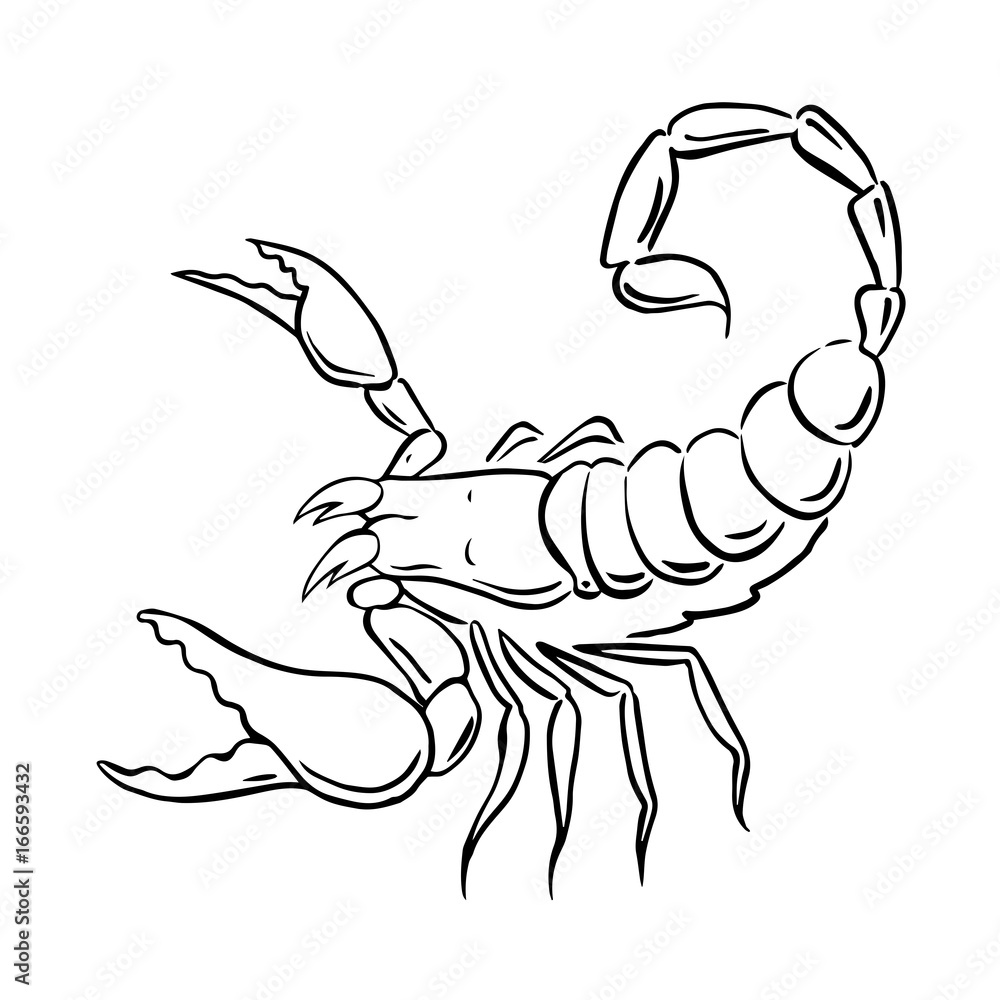 Detail Scorpion Vector Image Nomer 21