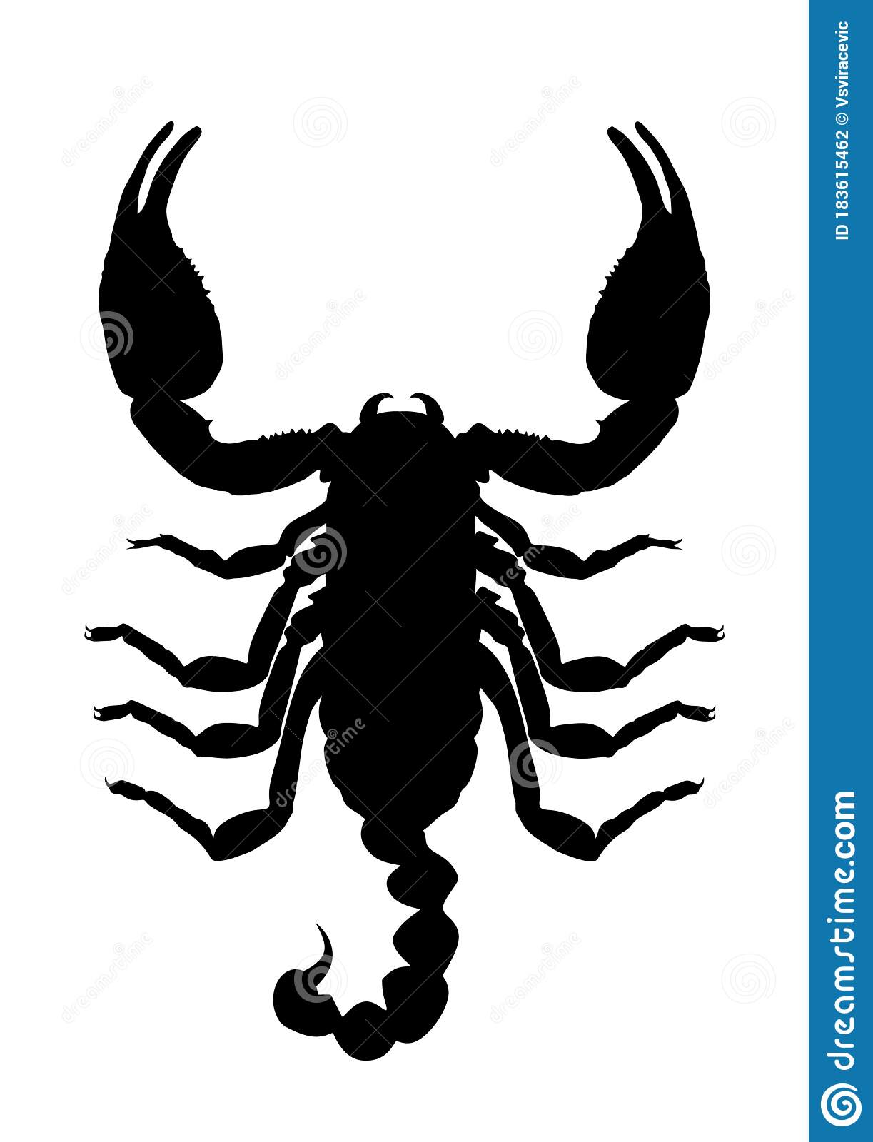 Detail Scorpion Vector Image Nomer 23