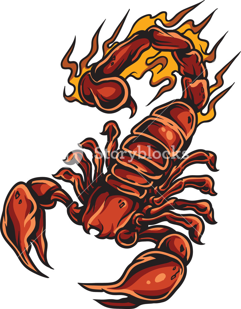 Detail Scorpion Vector Image Nomer 25