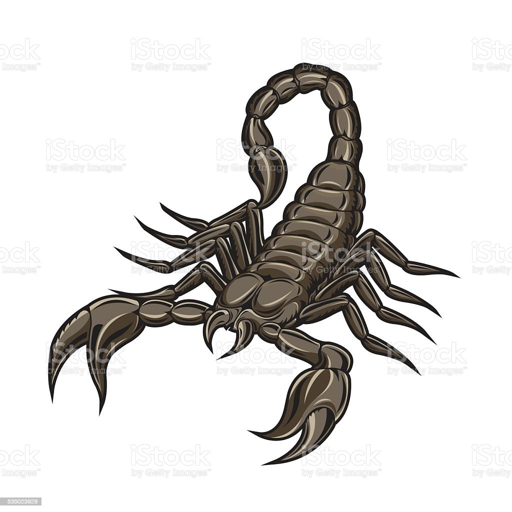 Detail Scorpion Vector Image Nomer 26