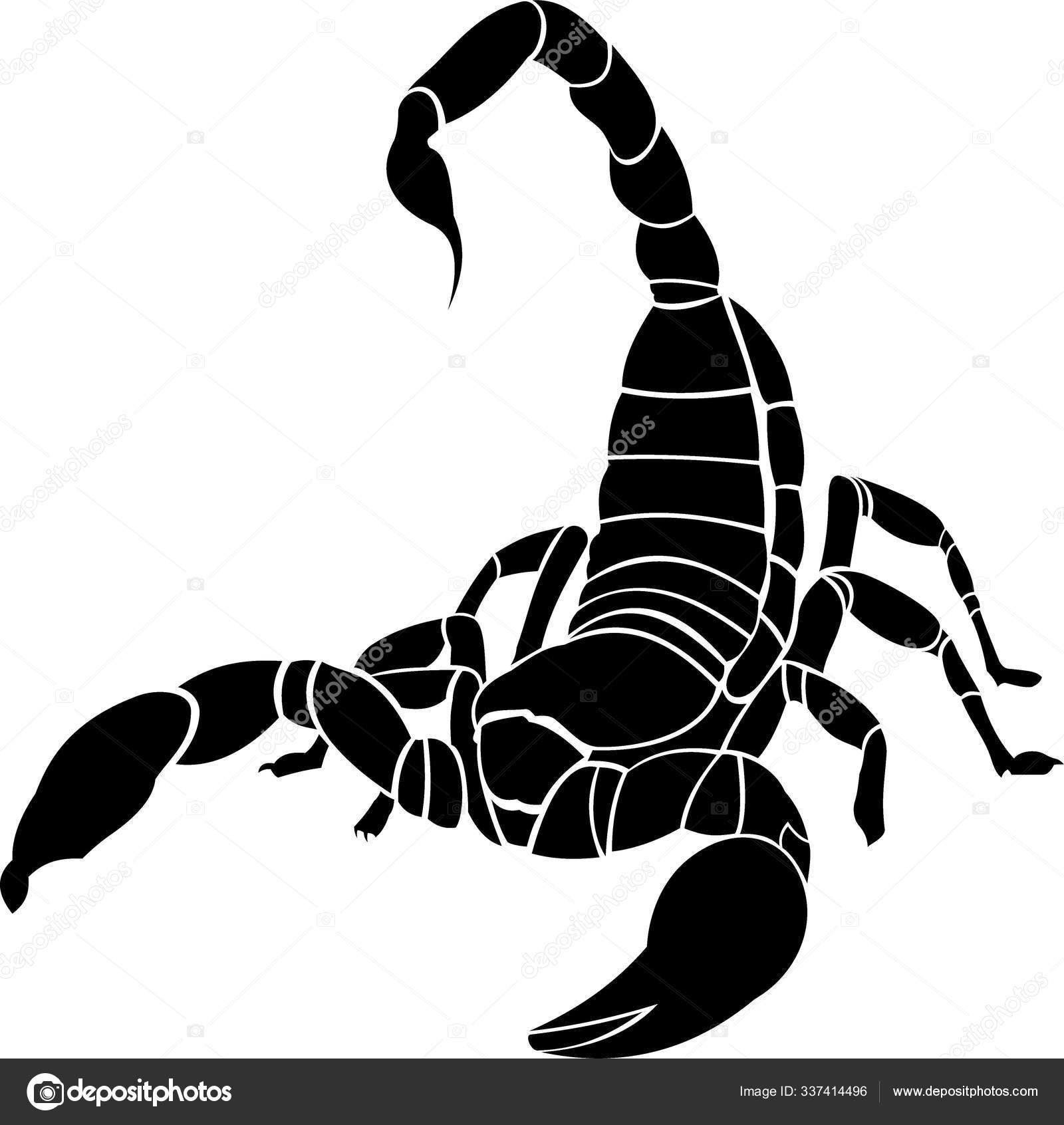 Detail Scorpion Vector Image Nomer 27