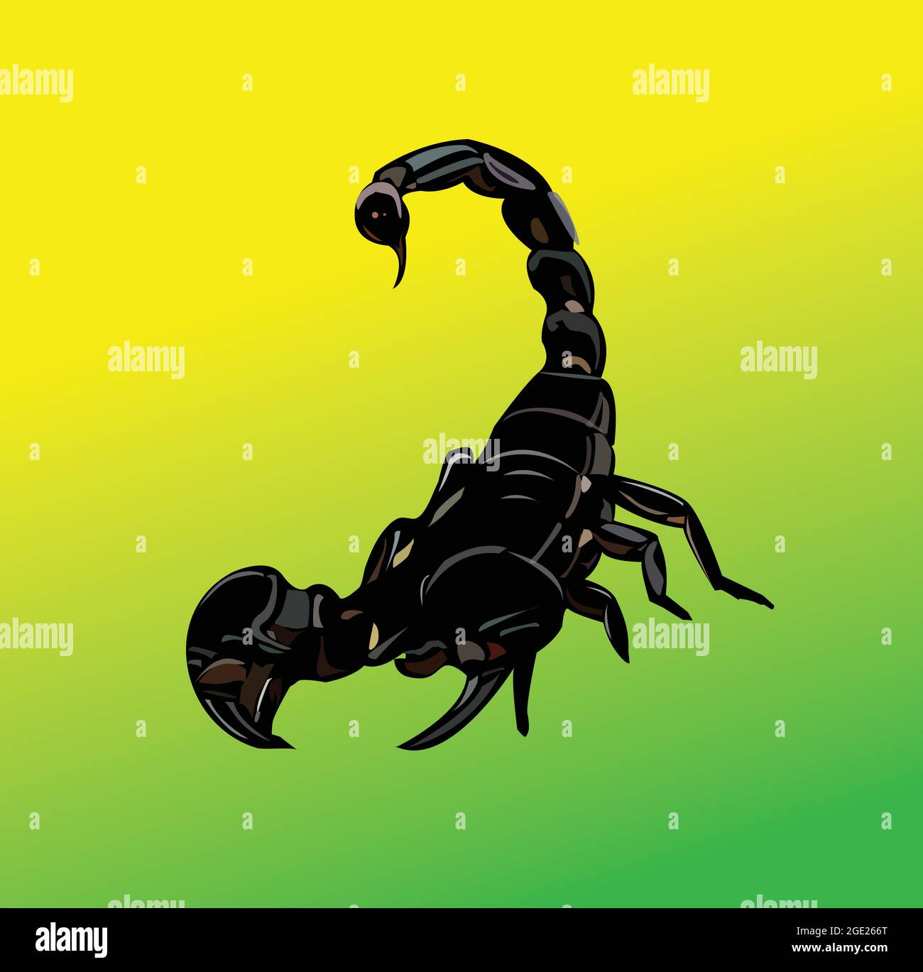 Detail Scorpion Vector Image Nomer 29