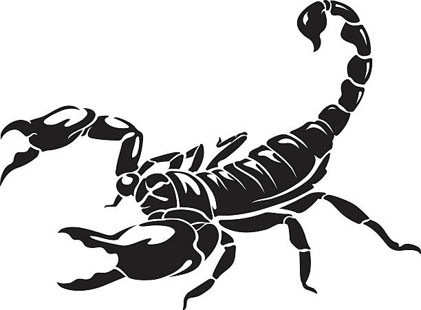 Detail Scorpion Vector Image Nomer 4