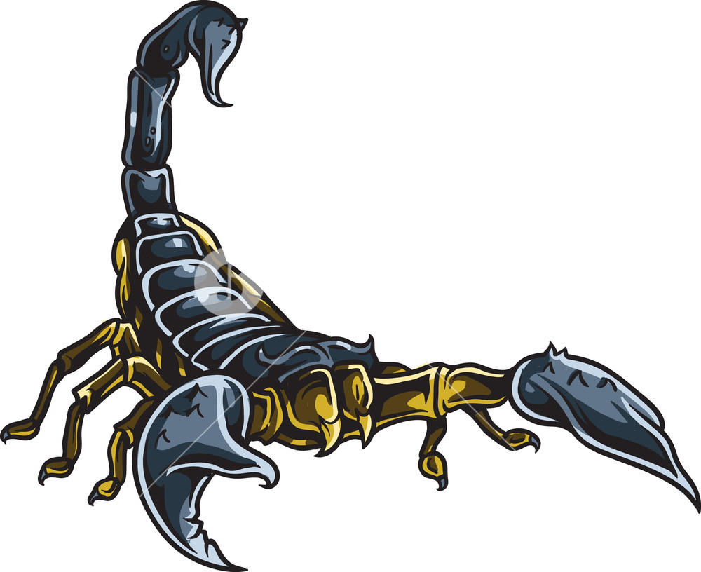 Detail Scorpion Vector Image Nomer 30