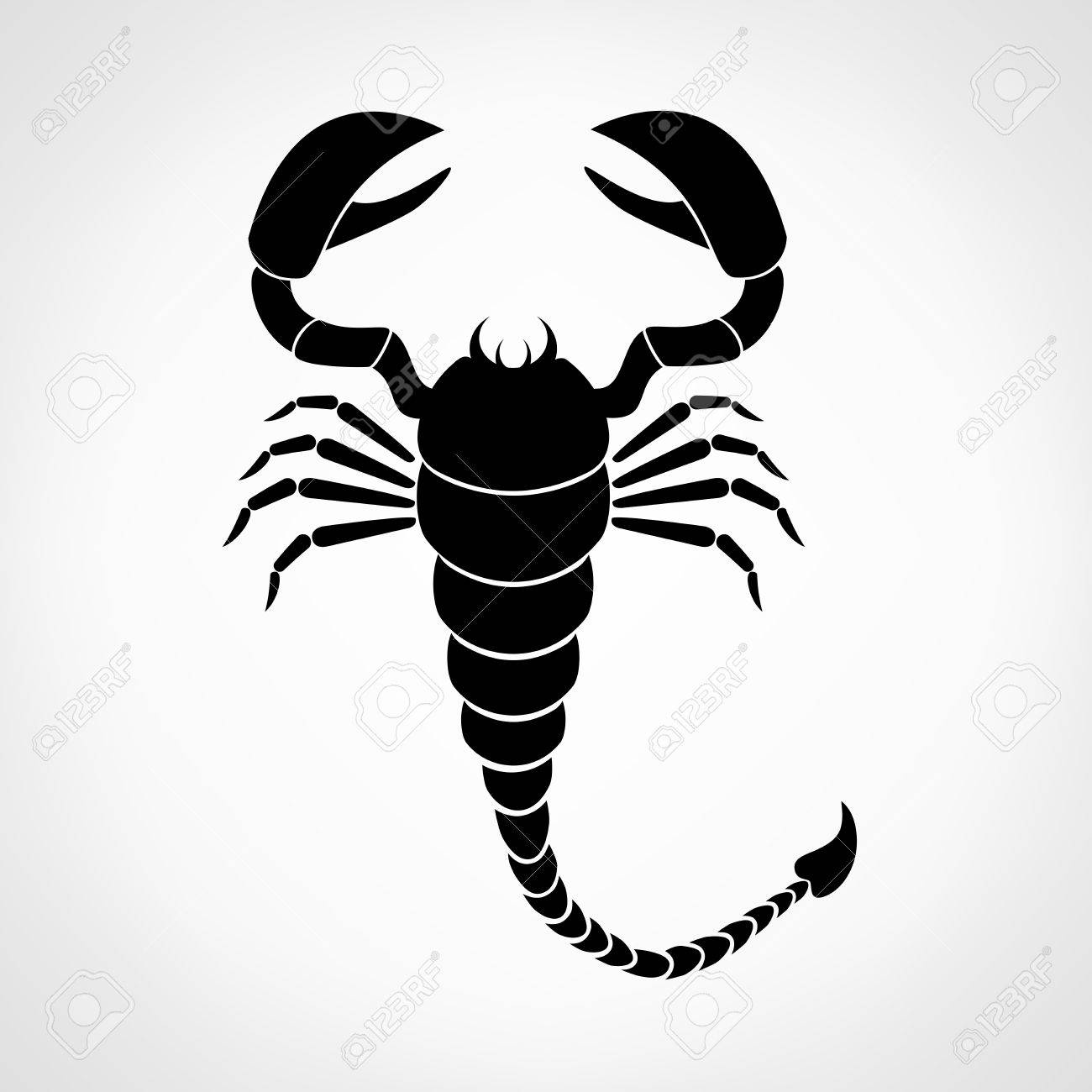 Detail Scorpion Vector Image Nomer 32