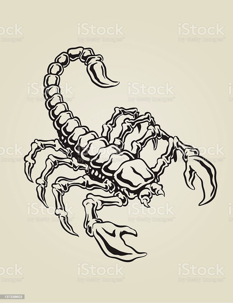 Detail Scorpion Vector Image Nomer 33