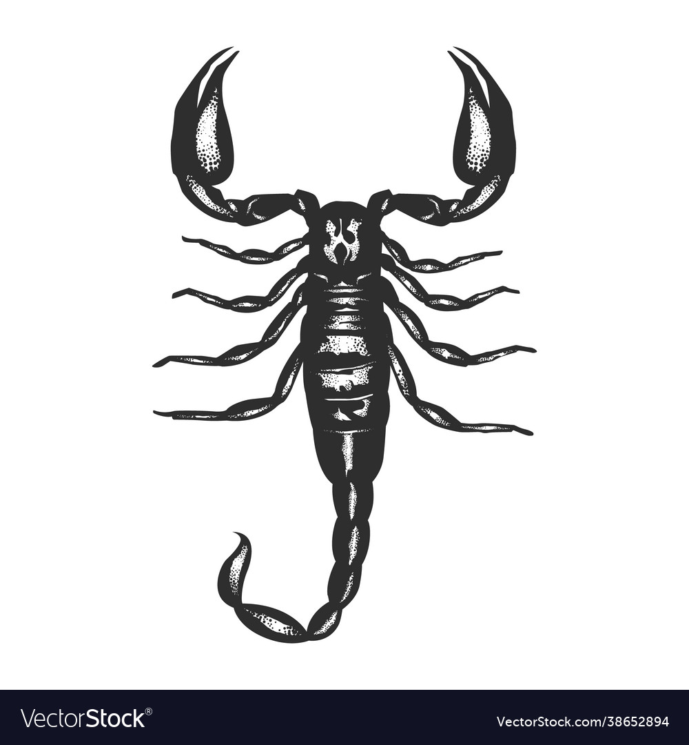 Detail Scorpion Vector Image Nomer 34