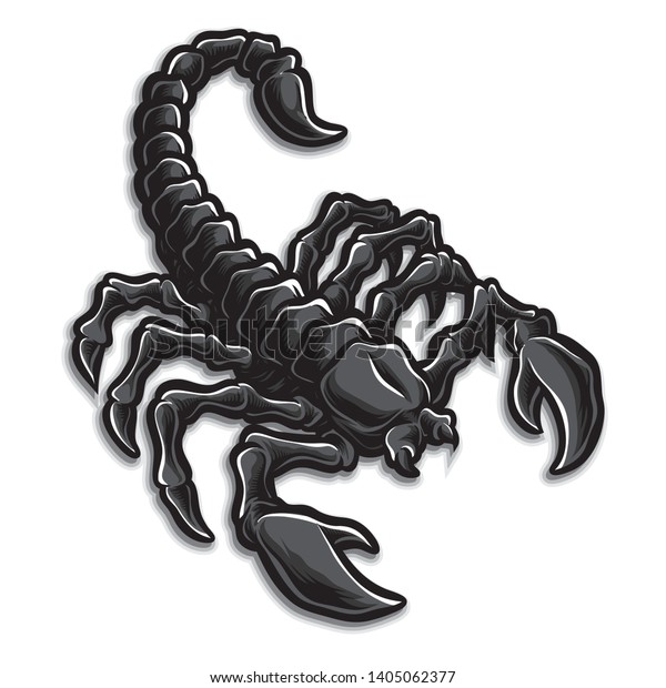 Detail Scorpion Vector Image Nomer 35