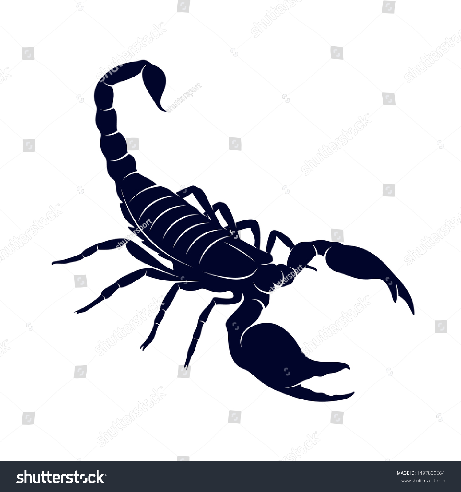 Detail Scorpion Vector Image Nomer 36