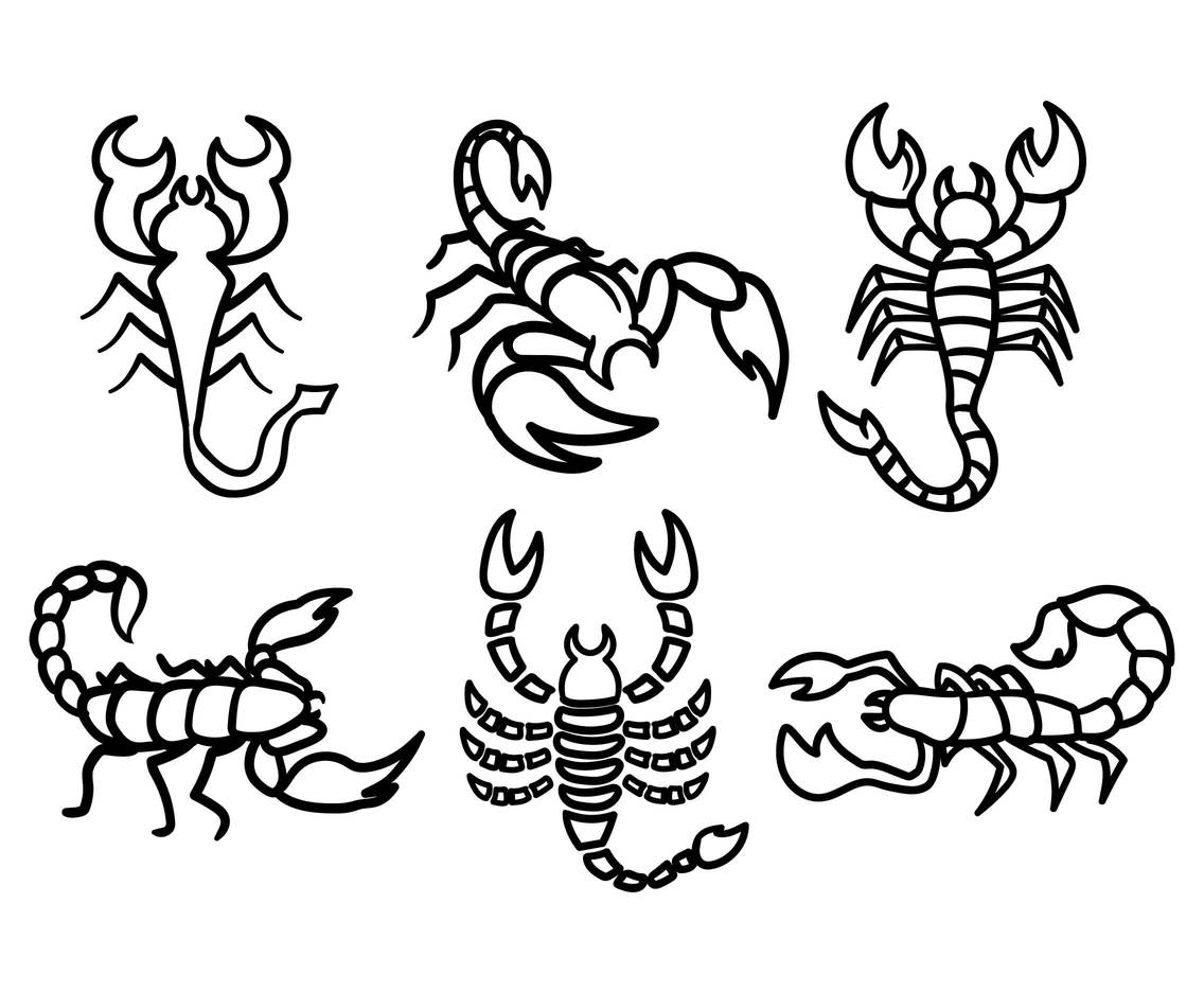 Detail Scorpion Vector Image Nomer 38