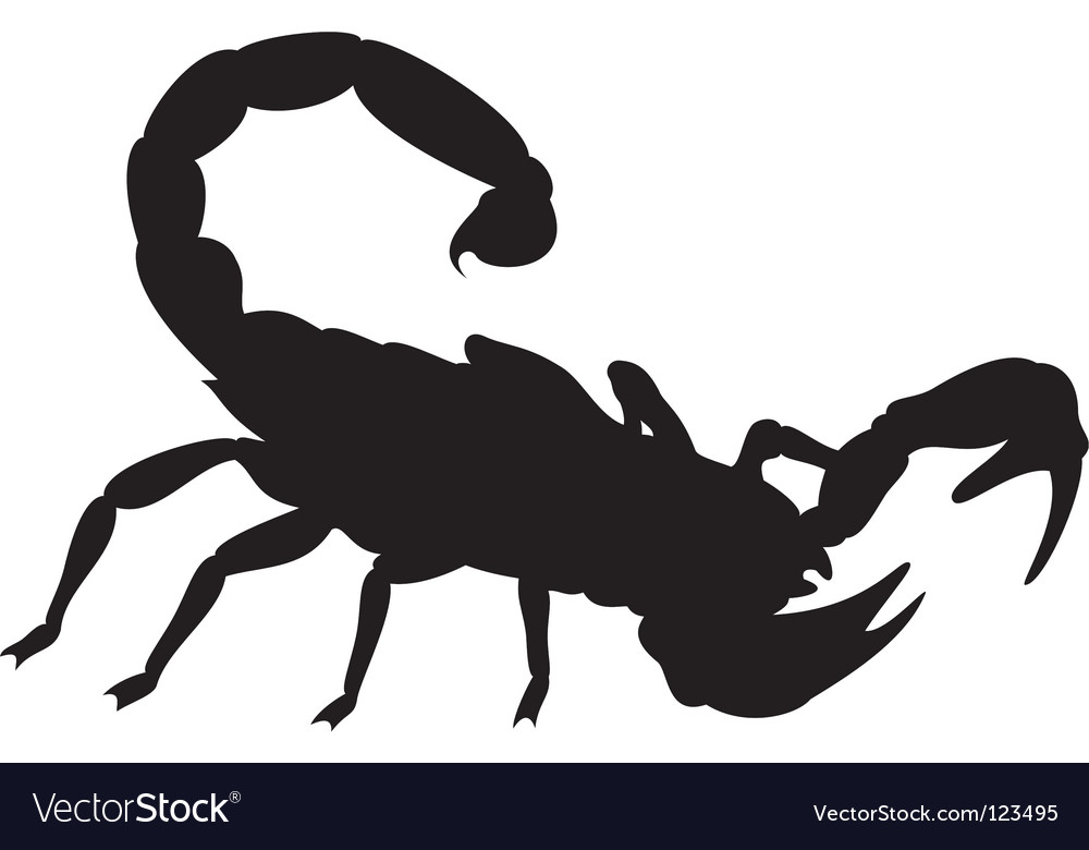 Detail Scorpion Vector Image Nomer 5