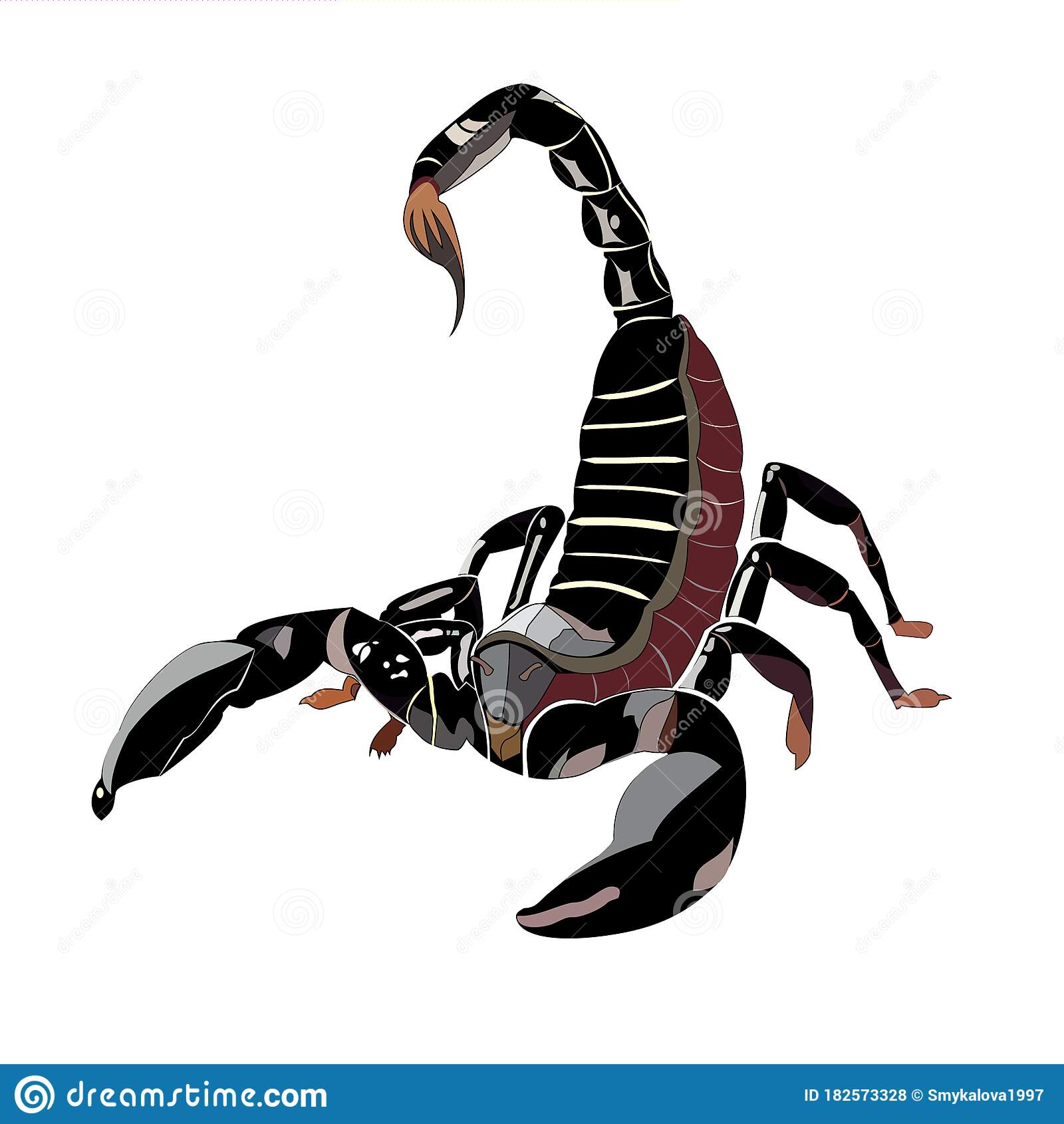 Detail Scorpion Vector Image Nomer 44