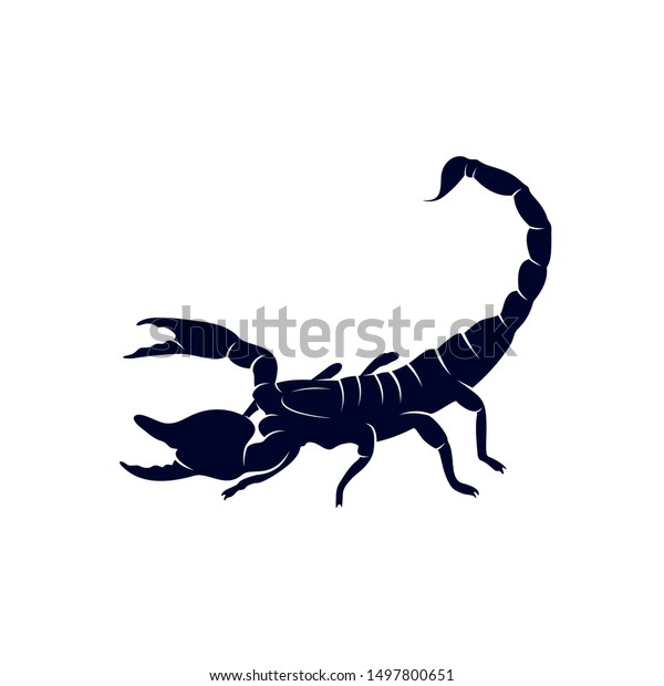 Detail Scorpion Vector Image Nomer 45