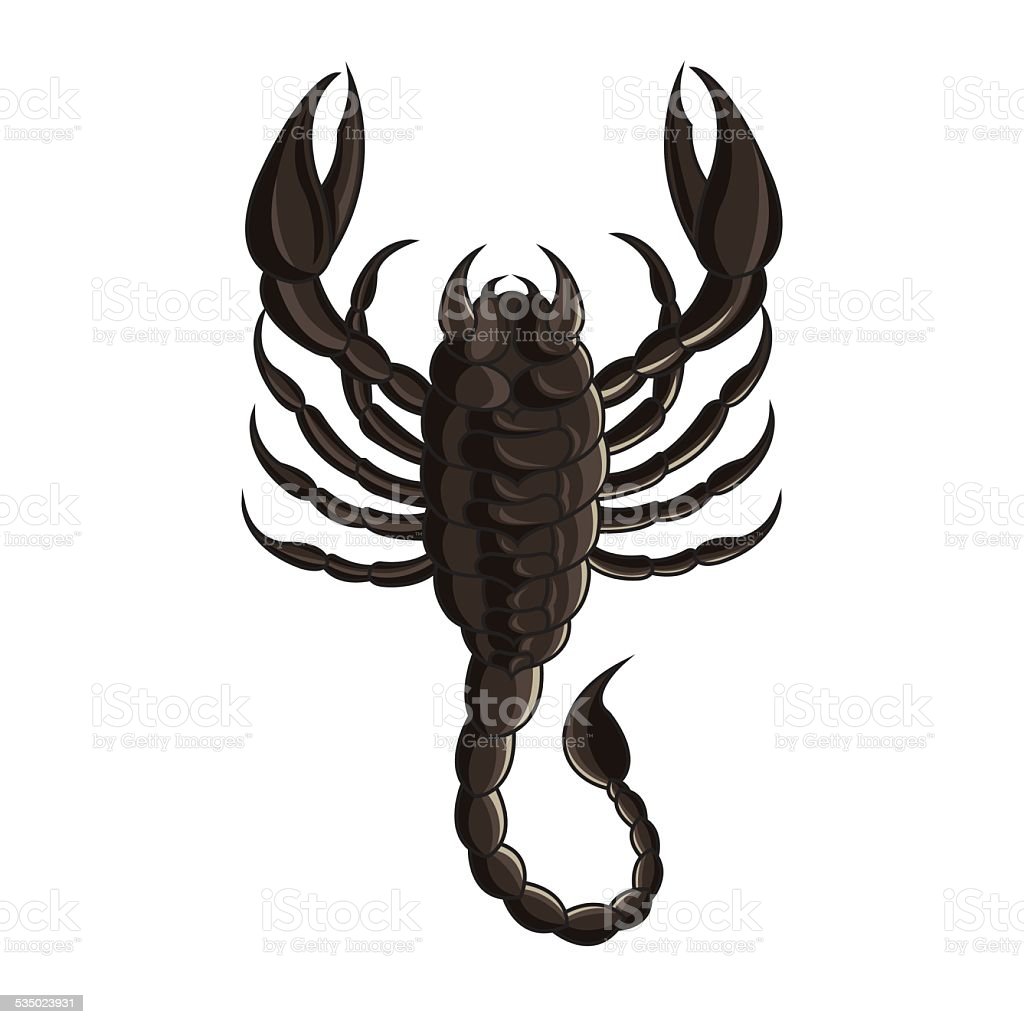 Detail Scorpion Vector Image Nomer 46