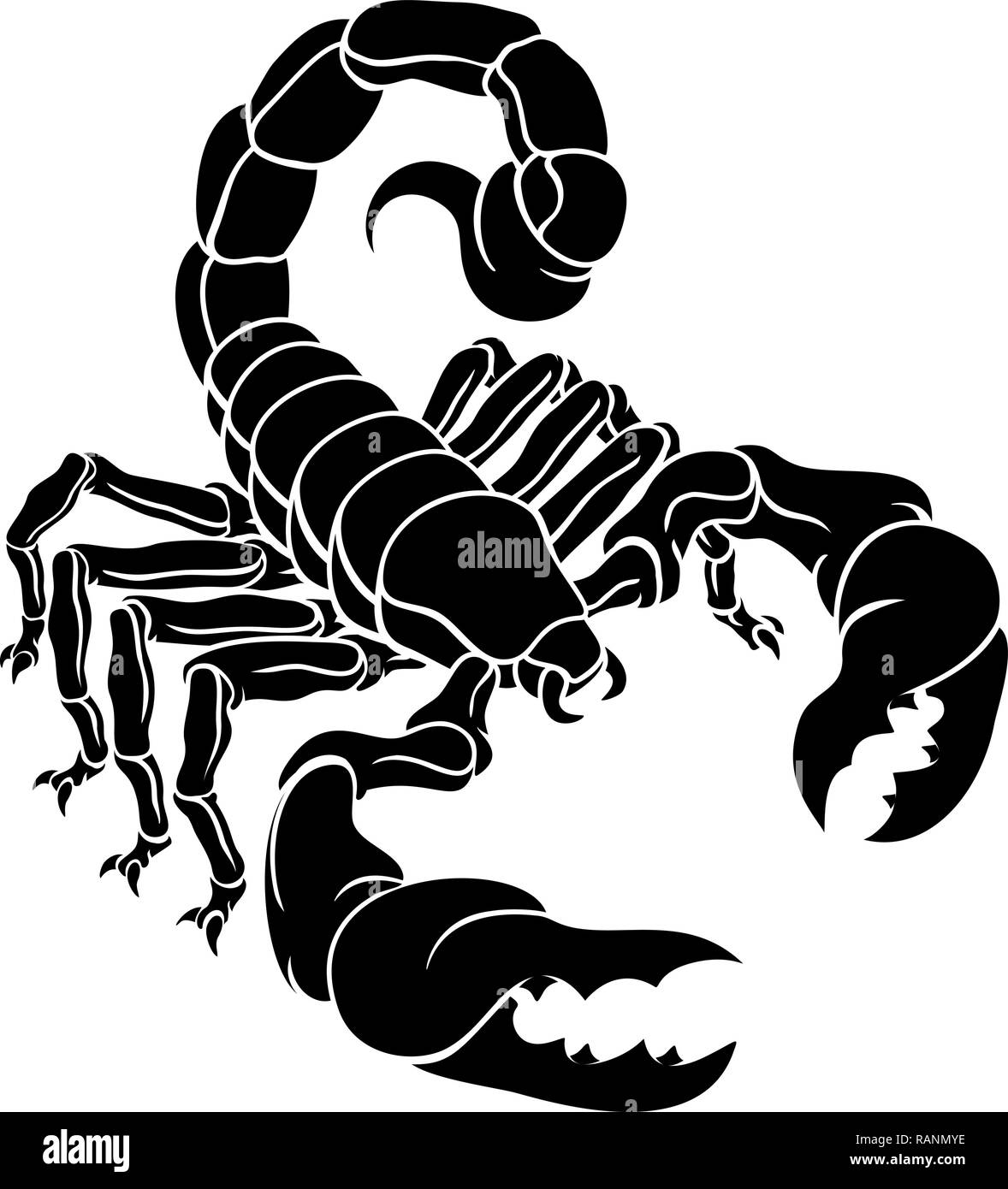 Detail Scorpion Vector Image Nomer 47