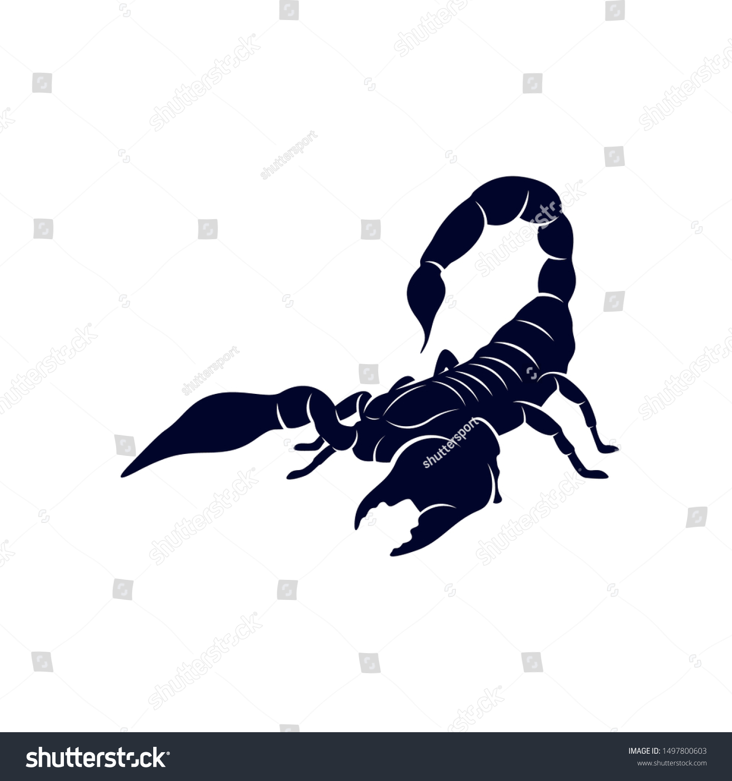 Detail Scorpion Vector Image Nomer 52
