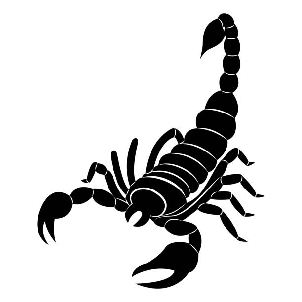 Detail Scorpion Vector Image Nomer 7