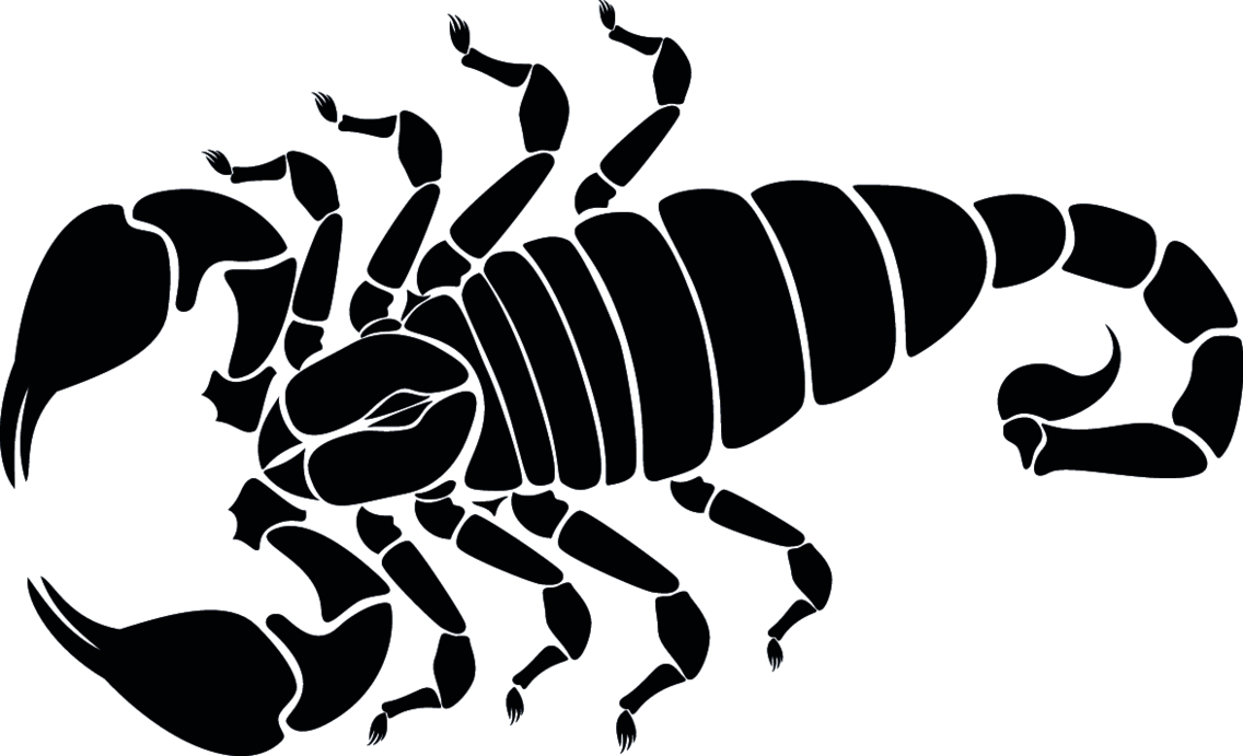 Detail Scorpion Vector Image Nomer 8