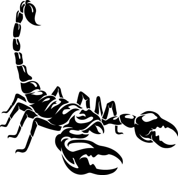 Detail Scorpion Vector Image Nomer 9
