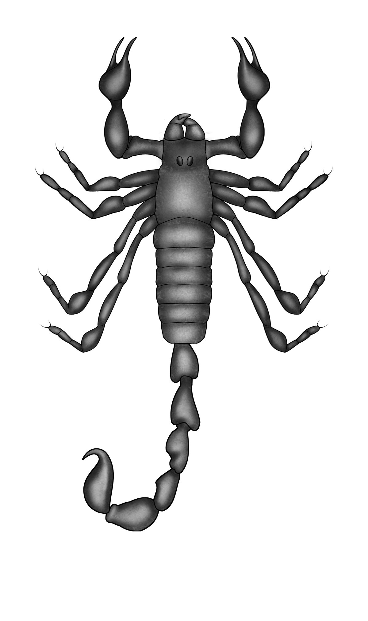 Detail Scorpions Pics Nomer 26