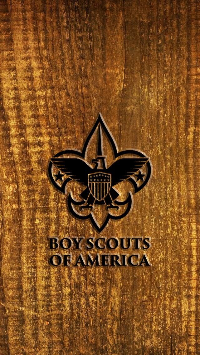 Detail Scout Wallpaper Nomer 19