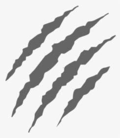 Detail Scratch Marks Png Nomer 13