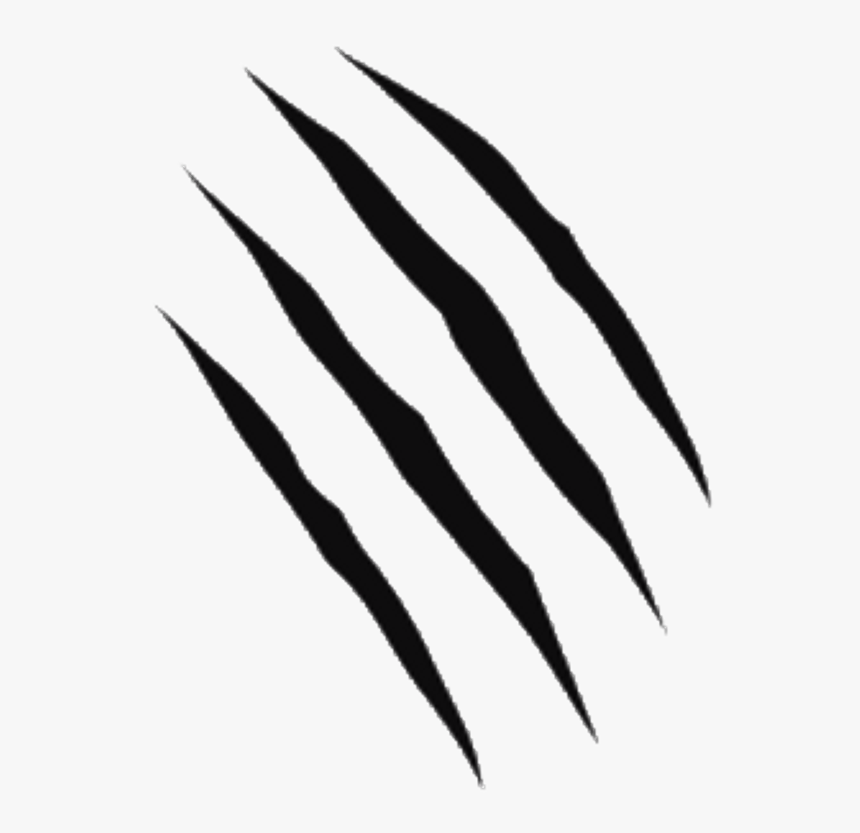 Detail Scratch Marks Png Nomer 15