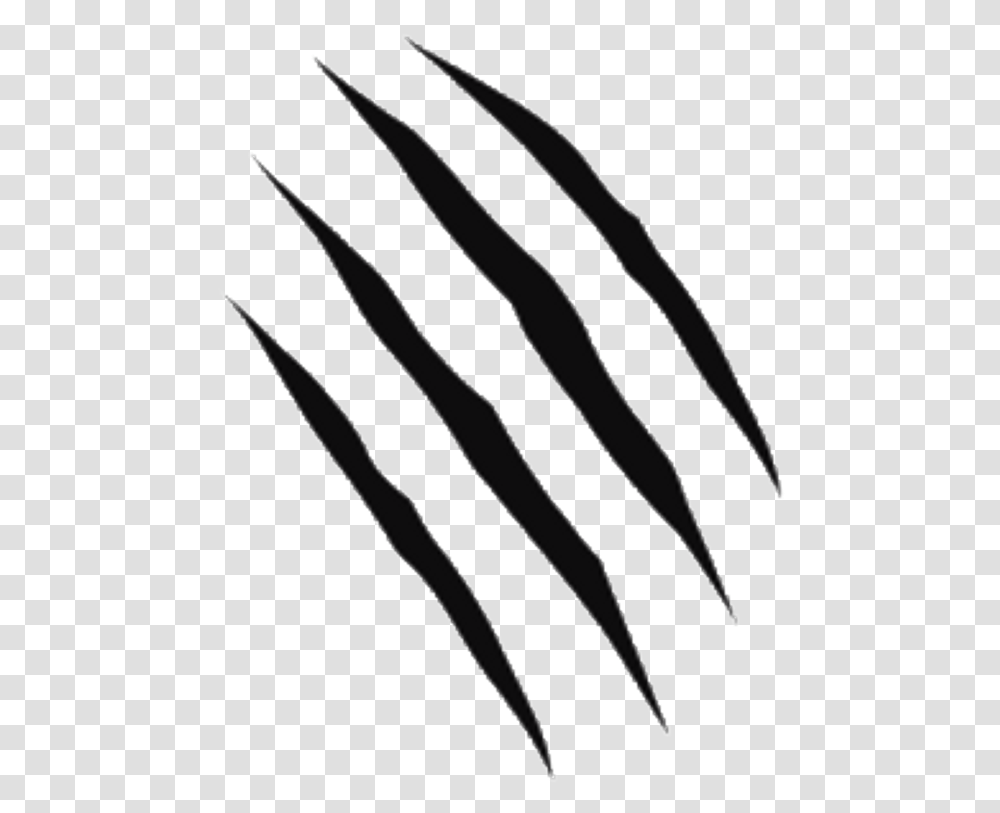 Detail Scratch Marks Png Nomer 18