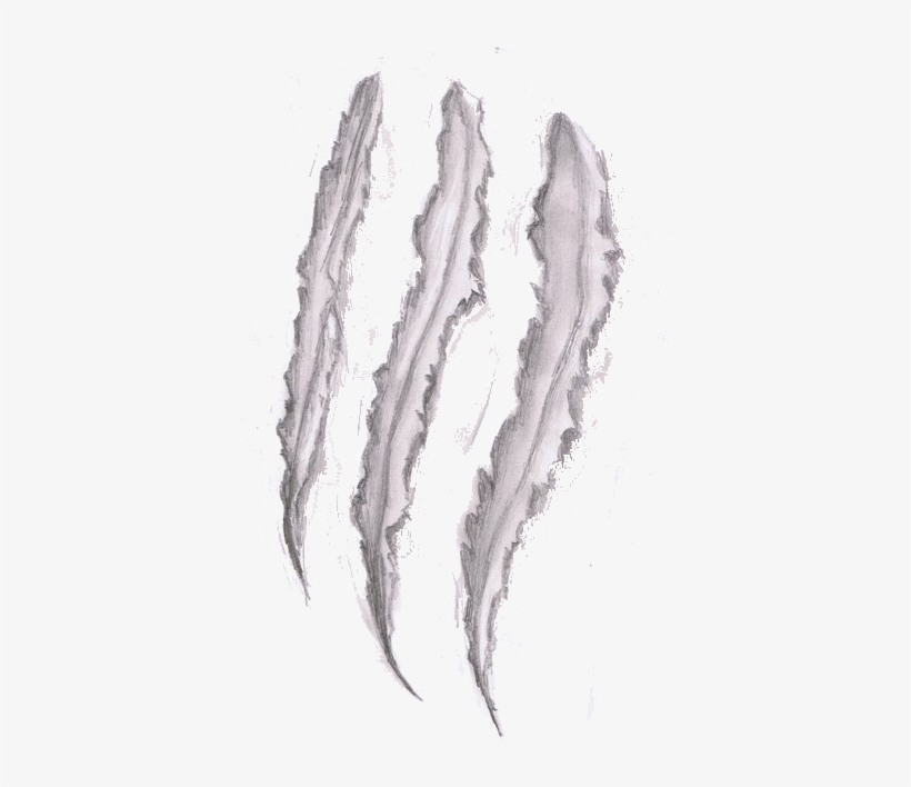 Detail Scratch Marks Png Nomer 19
