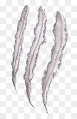 Detail Scratch Marks Png Nomer 55