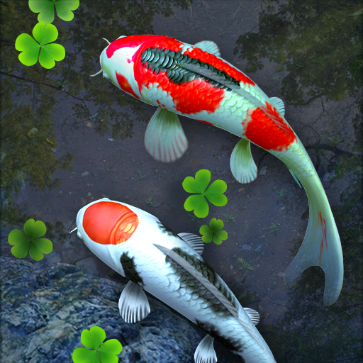 Screen Saver Ikan Koi - KibrisPDR