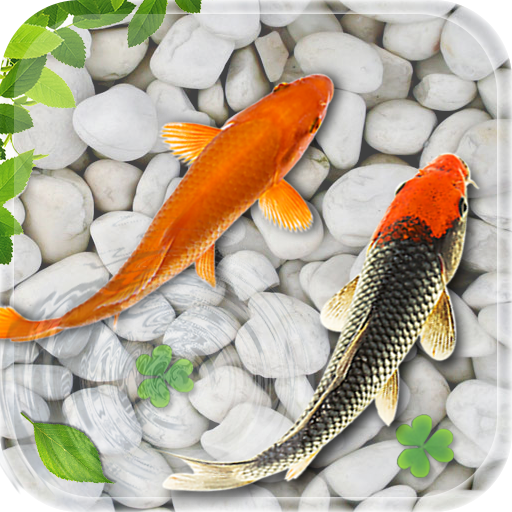 Detail Screen Saver Ikan Koi Nomer 18