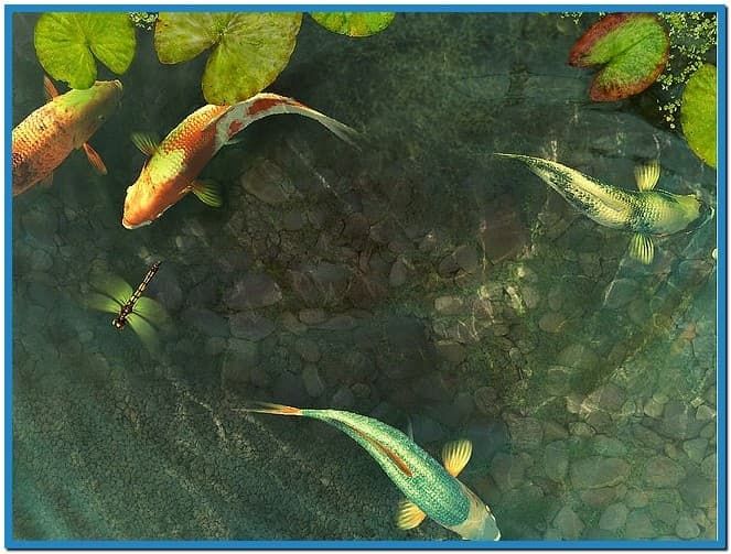 Detail Screen Saver Ikan Koi Nomer 22