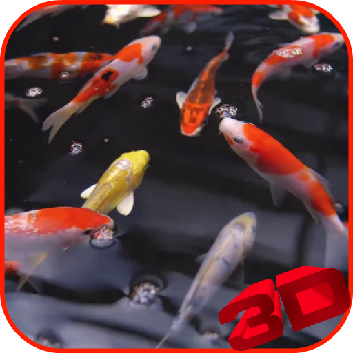Detail Screen Saver Ikan Koi Nomer 27