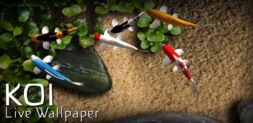 Detail Screen Saver Ikan Koi Nomer 44