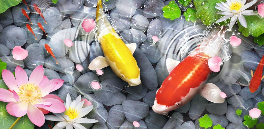 Detail Screen Saver Ikan Koi Nomer 54