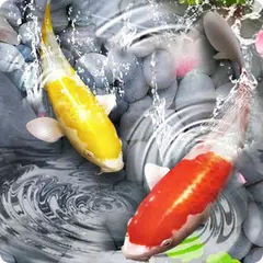 Detail Screen Saver Ikan Koi Nomer 58