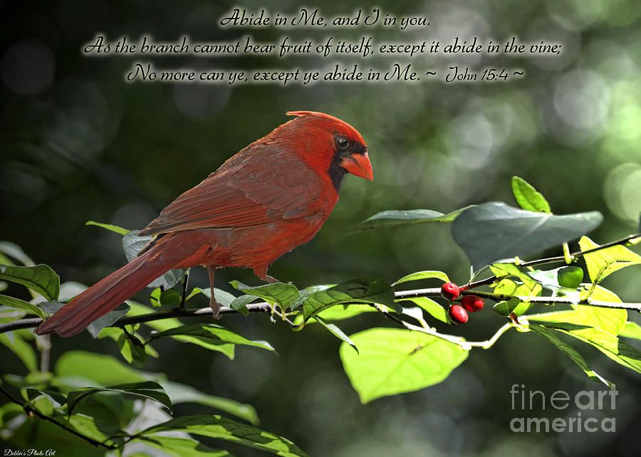 Detail Scripture Images Free Download Nomer 45