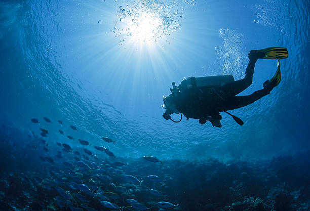 Scuba Diver Images Free - KibrisPDR