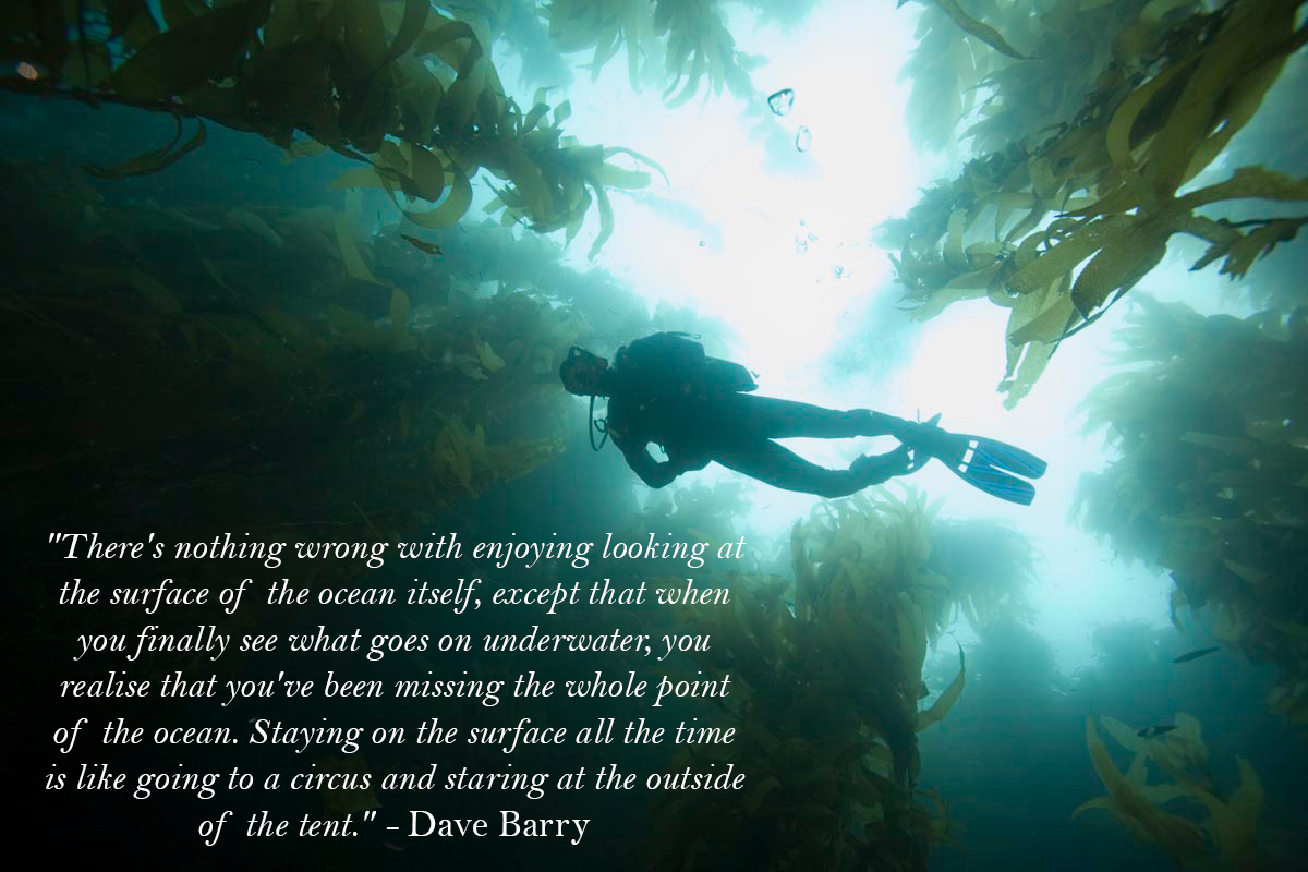 Detail Scuba Diving Quotes Nomer 11