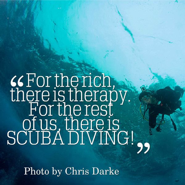 Detail Scuba Diving Quotes Nomer 32