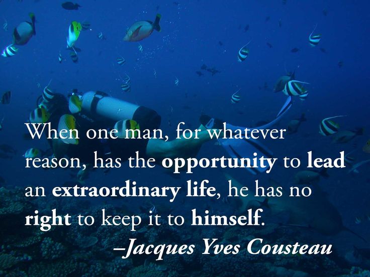 Detail Scuba Diving Quotes Nomer 53