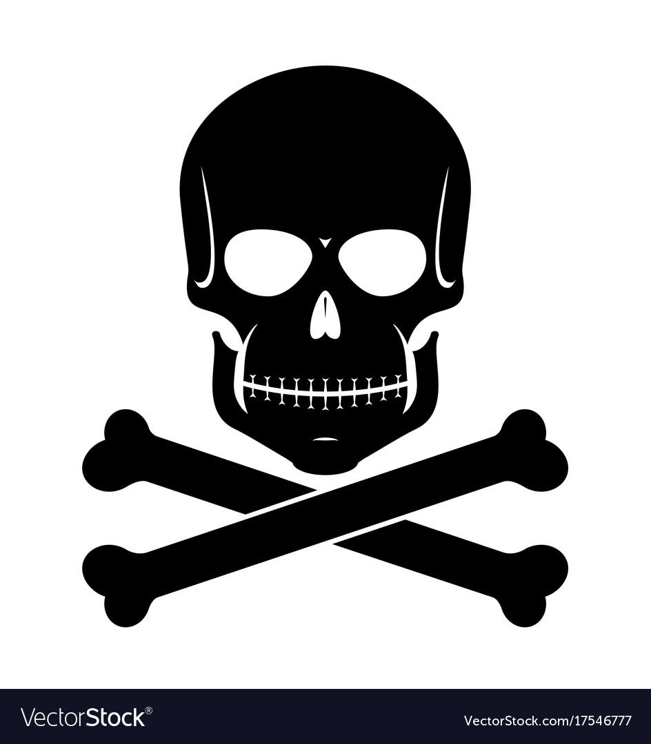 Detail Scull Image Nomer 2