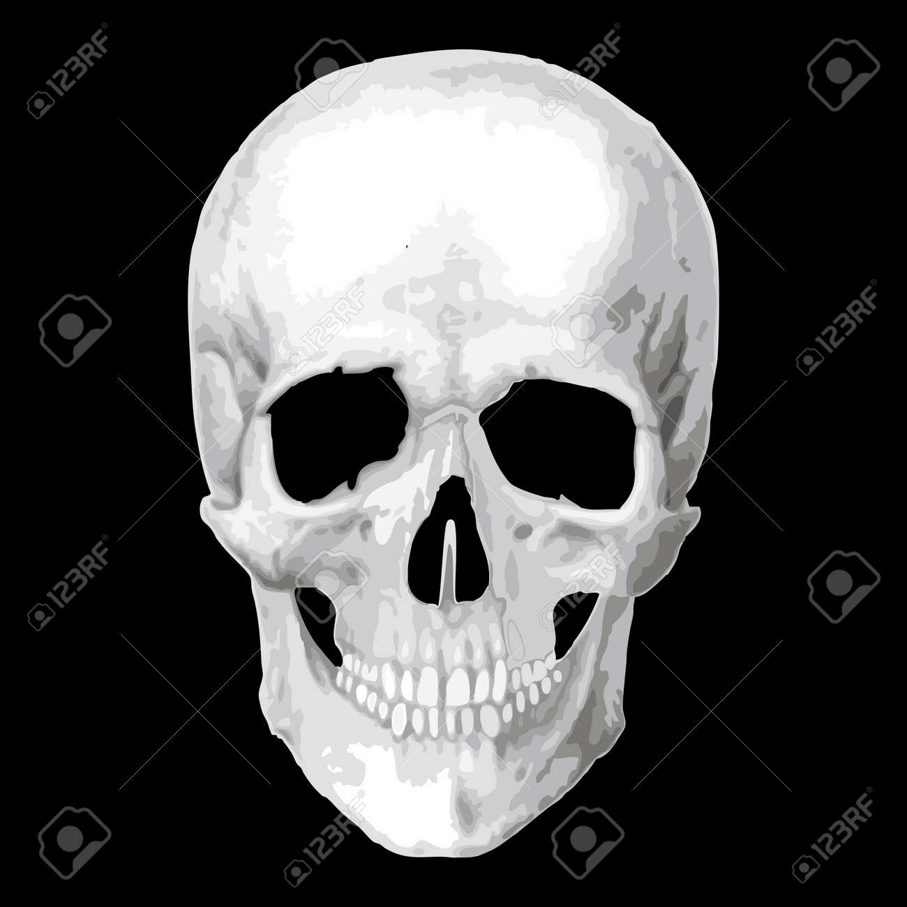 Detail Scull Image Nomer 11